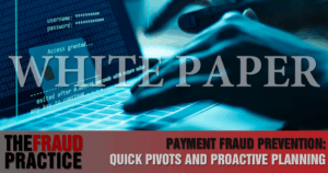 White Paper: Payment Fraud Prevention