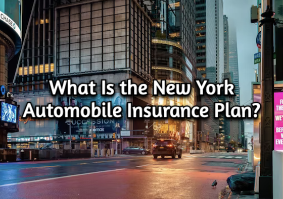 What Is the New York Automobile...
